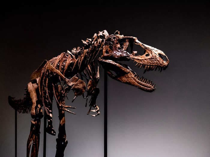 A 76 million-year-old dinosaur skeleton may sell for up to $8 million at auction. Paleontologists say high-profile sales make fossils less accessible to them.