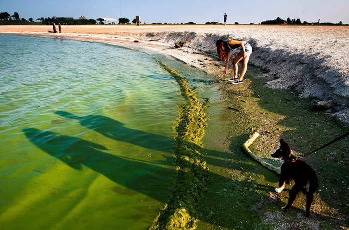 4 signs that water is not safe for swimming, whether it's due to toxic algae or human waste