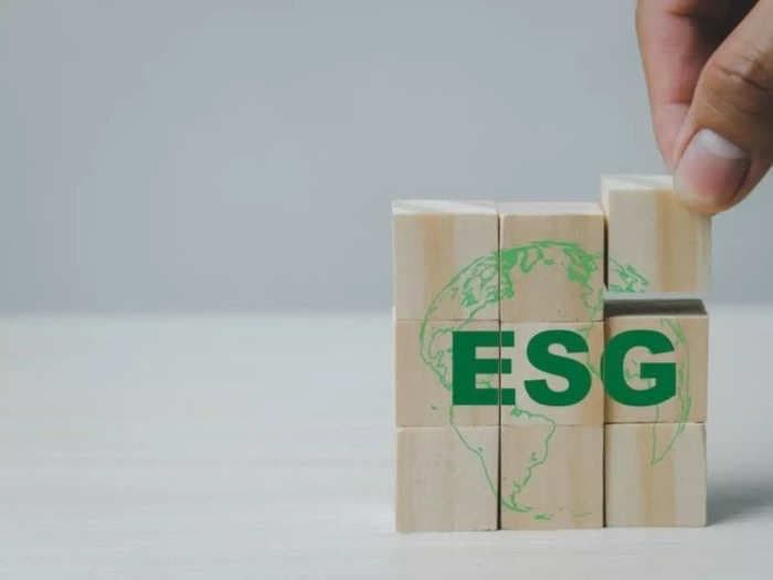 OPINION: As ESG disclosures turn mainstream, here’s a quick overview of challenges and approaches for Indian businesses