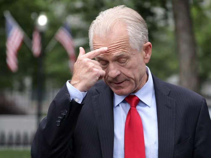 Peter Navarro is crowdfunding online to fight his contempt of Congress charge, claiming it could end up being 'a million dollar defense'