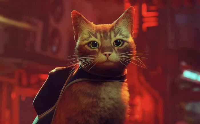 Cat owners are filming their pets interacting with 'Stray,' a new video game where you play as a lost cat in a robot city