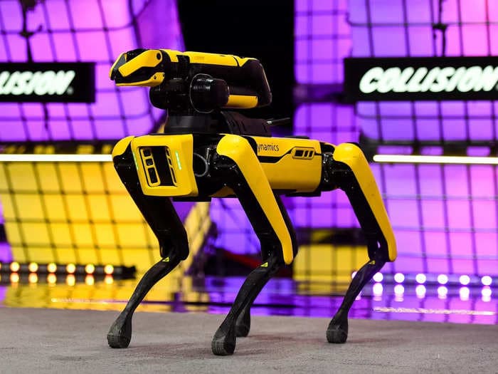 A man who lost $176 million worth of bitcoin in a dump wants to use a pair of $75,000 robot dogs in his master plan to get it back
