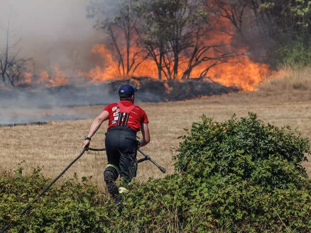 Business Insider Latest Story Image