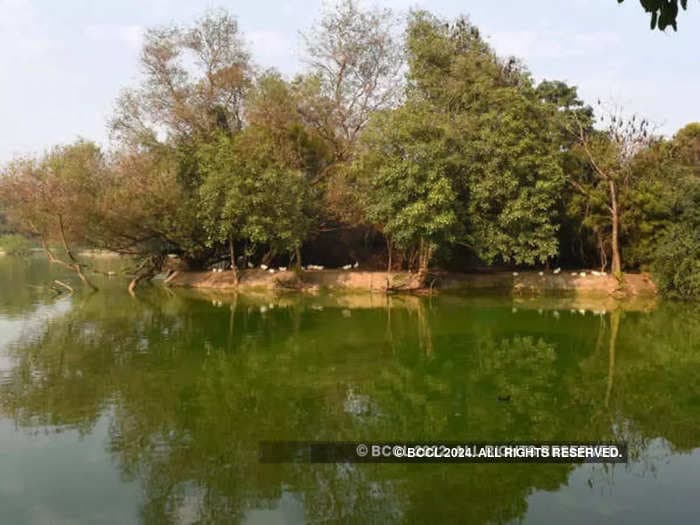 Shimla stipulated 75 ponds  Amrit Sarovar for water conservation to mark Azadi Ka Amrit Mahotsav