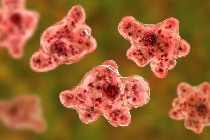 A child has died of a suspected brain-eating amoeba infection after swimming in a river in Nebraska