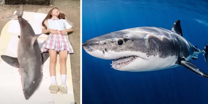 An influencer is being investigated by Chinese authorities after followers accused her of eating a great white shark in a video, reports say