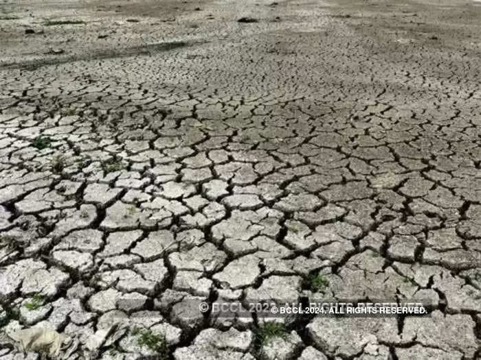 Europe, US, China: Drought has got them all