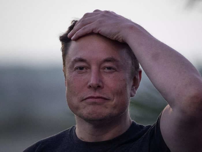 Elon Musk has subpoenaed Twitter whistleblower Peiter Zatko amid his legal battle with the platform