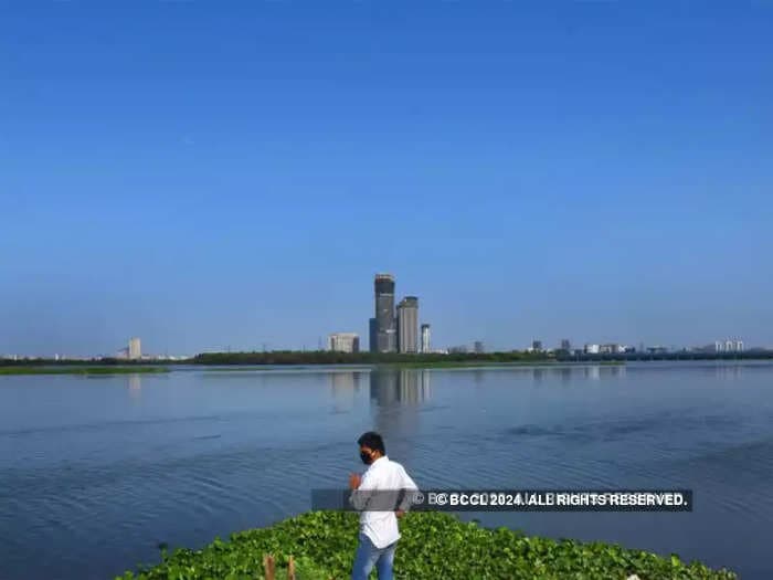 NGT concerned over 'inaction' on water quality of Yamuna