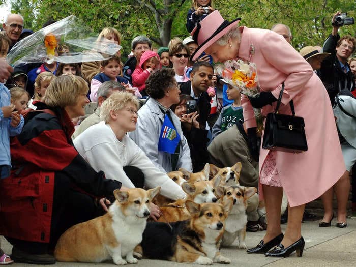 The future of Queen Elizabeth II's cherished corgis may involve Prince Andrew