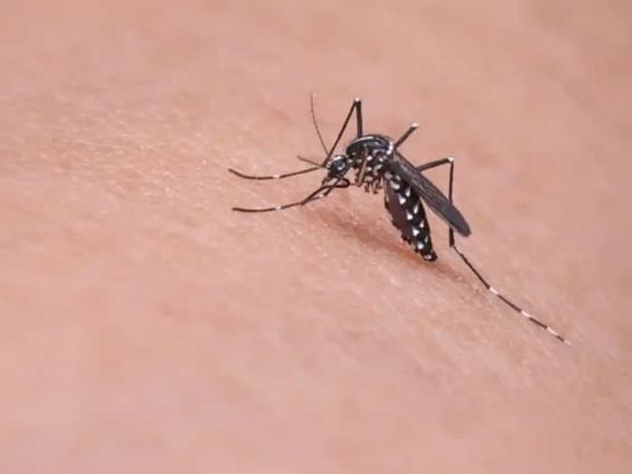 101 fresh cases of dengue in Delhi, tally rises to 396