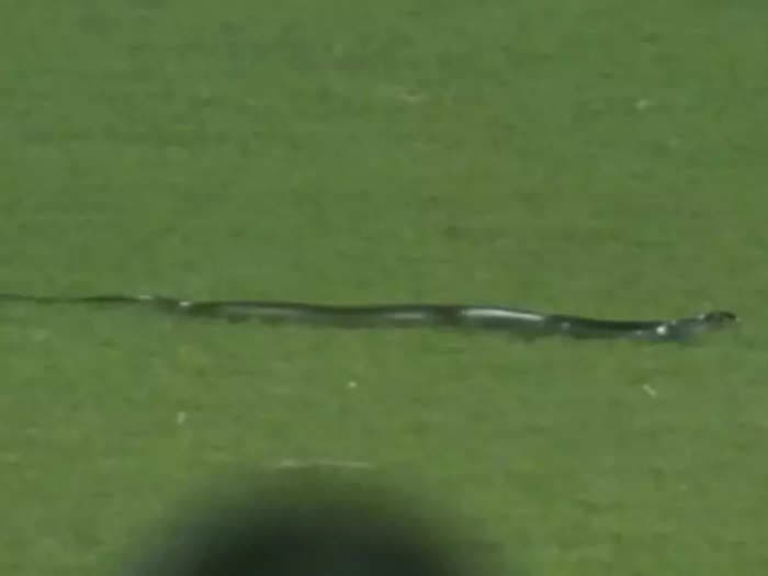 Floodlight failure and a snake on the field cause interruptions in the second T20I at Guwahati