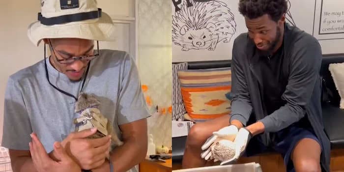 Golden State Warriors visit Japanese 'hedgehog cafe' during preseason, and the footage is both adorable and hilarious