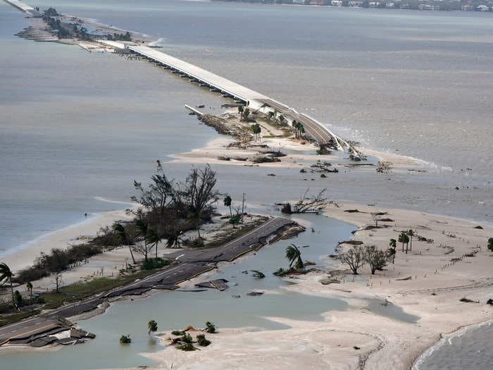 Florida alligators and snakes are swarming around unlivable homes that have been ravaged by Hurricane Ian: fire official