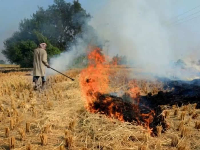 Farmers involved in stubble burning to be fined Rs 2500/acre in Gurugram
