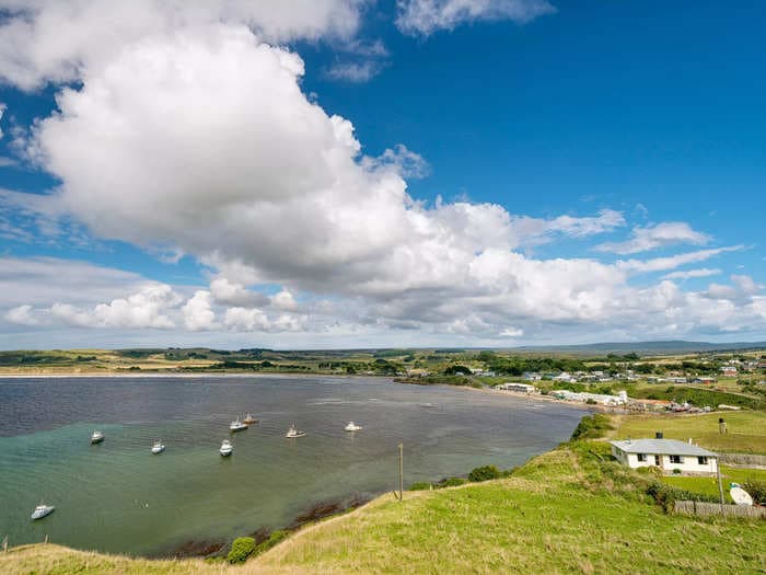 Nearly 500 pilot whales died after getting beached in 2 stranding incidents in New Zealand over the past week