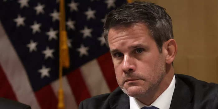 Kinzinger says it's on voters to prevent another insurrection: 'The torch has been passed—yes to DOJ—but also to the American people.'