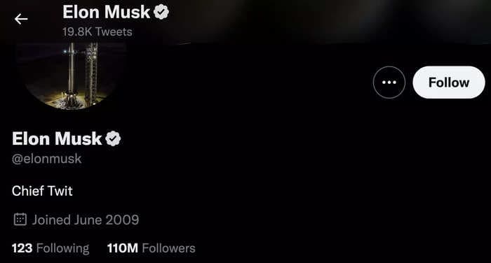 Elon Musk changes his Twitter bio to 'Chief Twit' ahead of rapidly approaching deadline to finalize deal