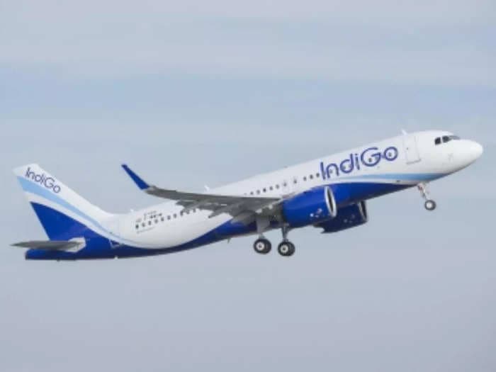 Indigo's Q2 net loss widens to ₹ 15,833 million, excluding forex loss