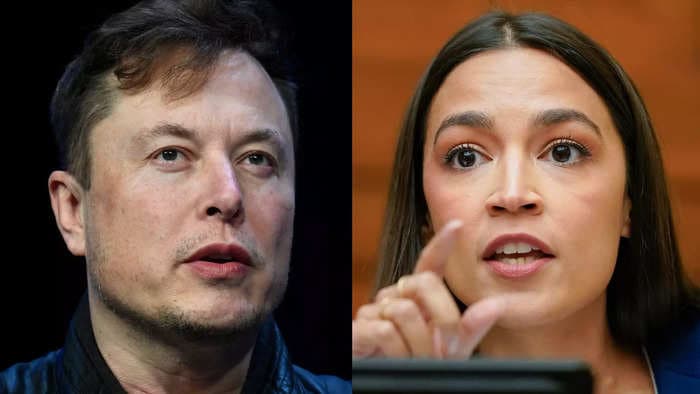 Elon Musk told Mark Ruffalo not everything AOC says is accurate after the actor begged him to get off Twitter following criticism from the lawmaker