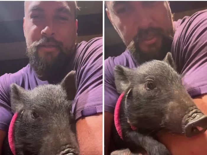 Jason Momoa shares an adorable video of his newly-adopted pet pig: 'This is why I can't work with animals'