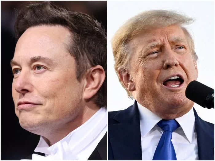 Elon Musk says 'Hey stop defaming me' after coming under fire for letting Donald Trump back on Twitter