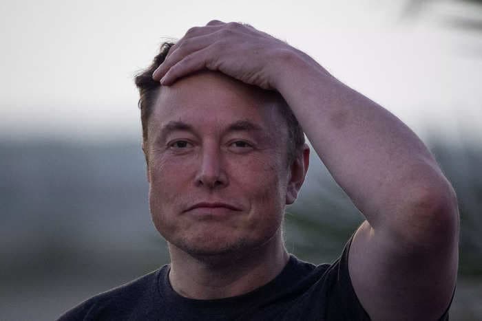 A major Tesla investor says Elon Musk 'isn't suited' to be Twitter CEO