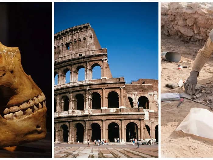 12 amazing archaeological discoveries of 2022: From the world's oldest limb amputation to the fighting sausage dogs of the Roman Colosseum