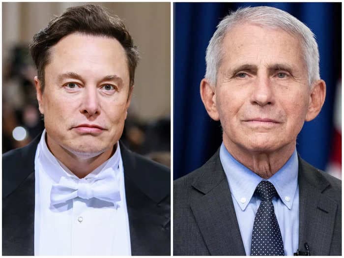 Elon Musk teases release of the 'Fauci Files,' following his previous scathing criticism of the medical expert