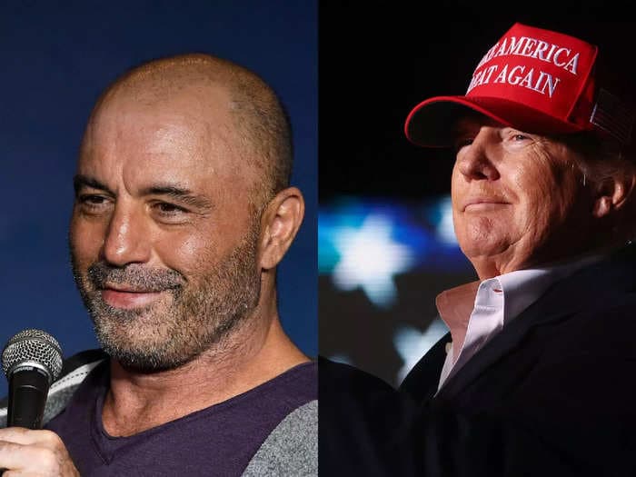 Joe Rogan said 'the morons had a king' with Donald Trump during a podcast episode