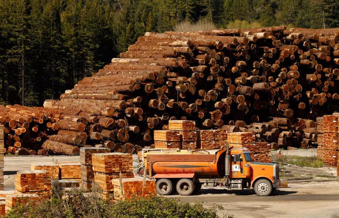 Lumber market must weather a 'treacherous' 2023 after last year's staggering 66% price crash as a US housing slump deepens