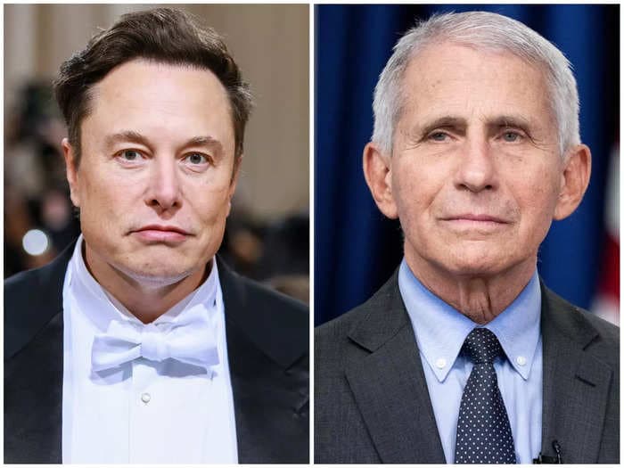 Anthony Fauci says he has 'no idea' what Elon Musk's talking about after the Twitter chief threatened to release the 'Fauci Files'