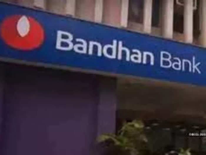 Tax rate revision will increase purchasing power of middle class: Bandhan Bank CEO