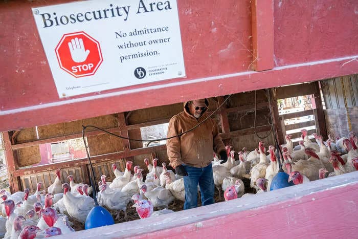 Bird flu has led to the deaths of more than 50 million farm birds and sickened dozens of mammals. 3 charts show whether humans should be worried.