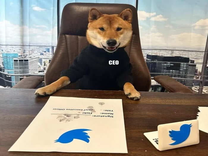 Elon Musk says he hired a dog to replace him as Twitter CEO