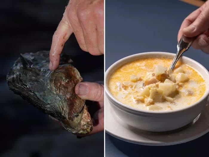 A Florida man found a massive clam on the beach and was going to turn it into chowder. It turned out to be more than 200 years old.