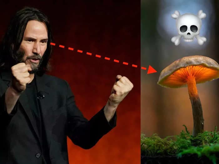 Scientists named a fungicide after Keanu Reeves because it's extremely effective at killing &mdash; just like his characters