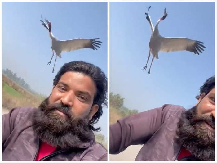 A farmer saved the life of a giant crane, and now man and bird are forever friends: 'I know 100% he will not leave me.'