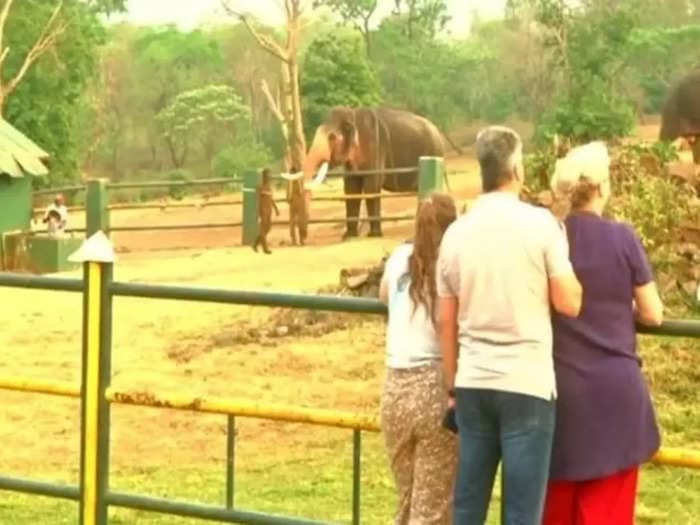 Tourists flock to TN elephant camp after 'The Elephant Whisperers' wins Oscar