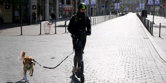 A fourth dog has died after eating poisoned meatballs littered around a cross-country race in France. Authorities believe the person responsible wore gloves to hide fingerprints.