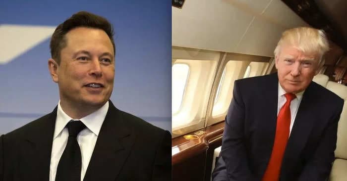 Elon Musk predicts Trump will win a 'landslide victory' if he is arrested in New York