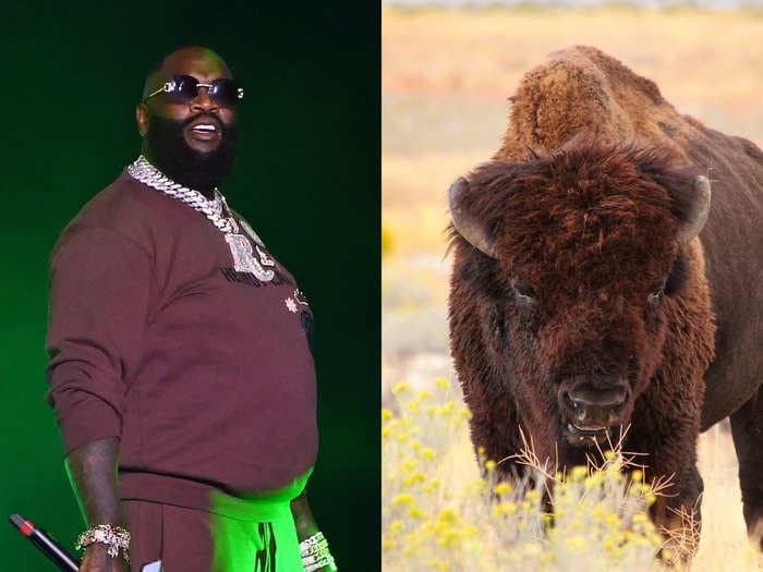 Rick Ross' neighbor fears his escaped buffalo will harm her children. Ross responded by calling the massive creatures 'gentle' and suggested giving them snacks: 'when you see my buffalo, give it a carrot.'