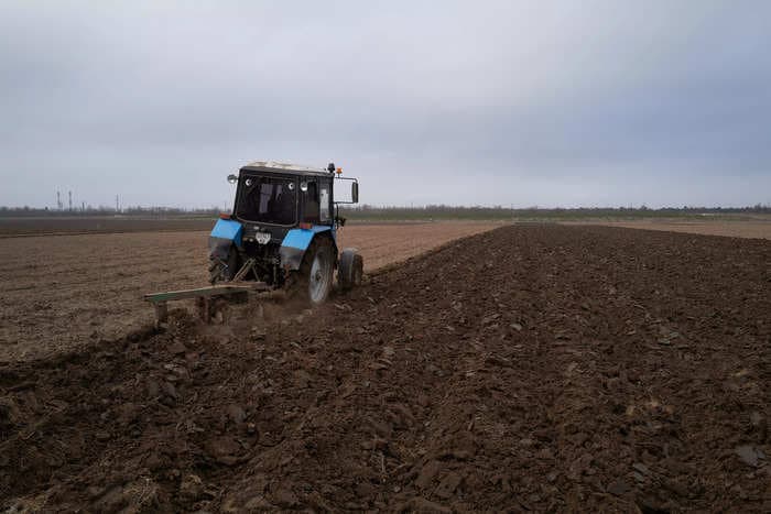 Farmers in Ukraine are forced to dig up land mines by hand to save their livelihoods: 'I don't have any other choice'