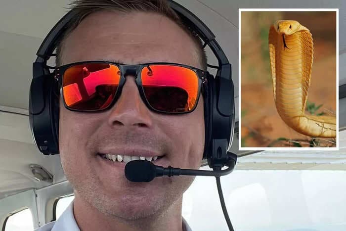 Venomous 'Snakes on a Plane' situation causes pilot to make an emergency landing from 11,000 feet