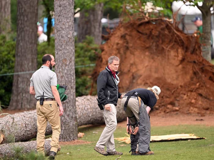 Masters 2023: Several massive trees fall to ground at Augusta National causing scary scene