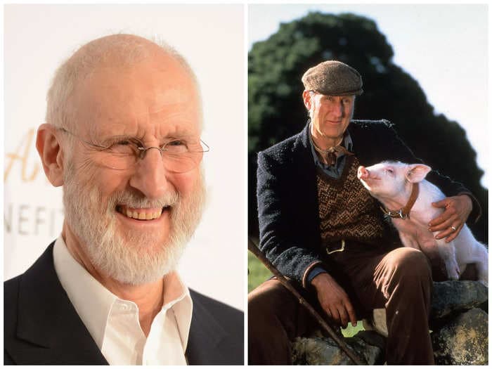 'Succession' star James Cromwell helped rescue a pig that escaped on its way to a slaughterhouse and named it Babe