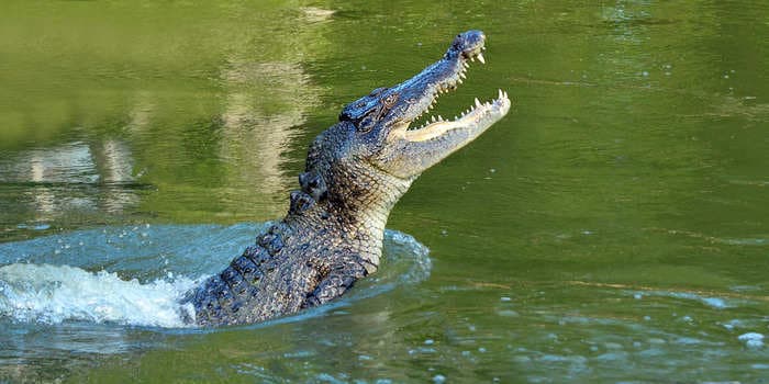 Fisherman said he won life-and-death battle with 15-foot crocodile by poking his fingers in its eyes