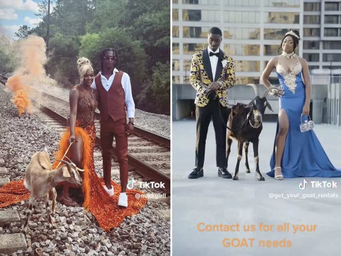 High school students are renting actual goats for over-the-top prom photoshoots, and TikTok has some questions about the bizarre trend