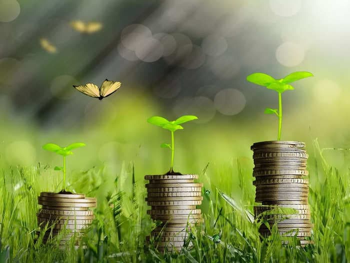 OPINION: Green finance — need of the hour for net-zero transition — is gaining momentum in Indian economy!