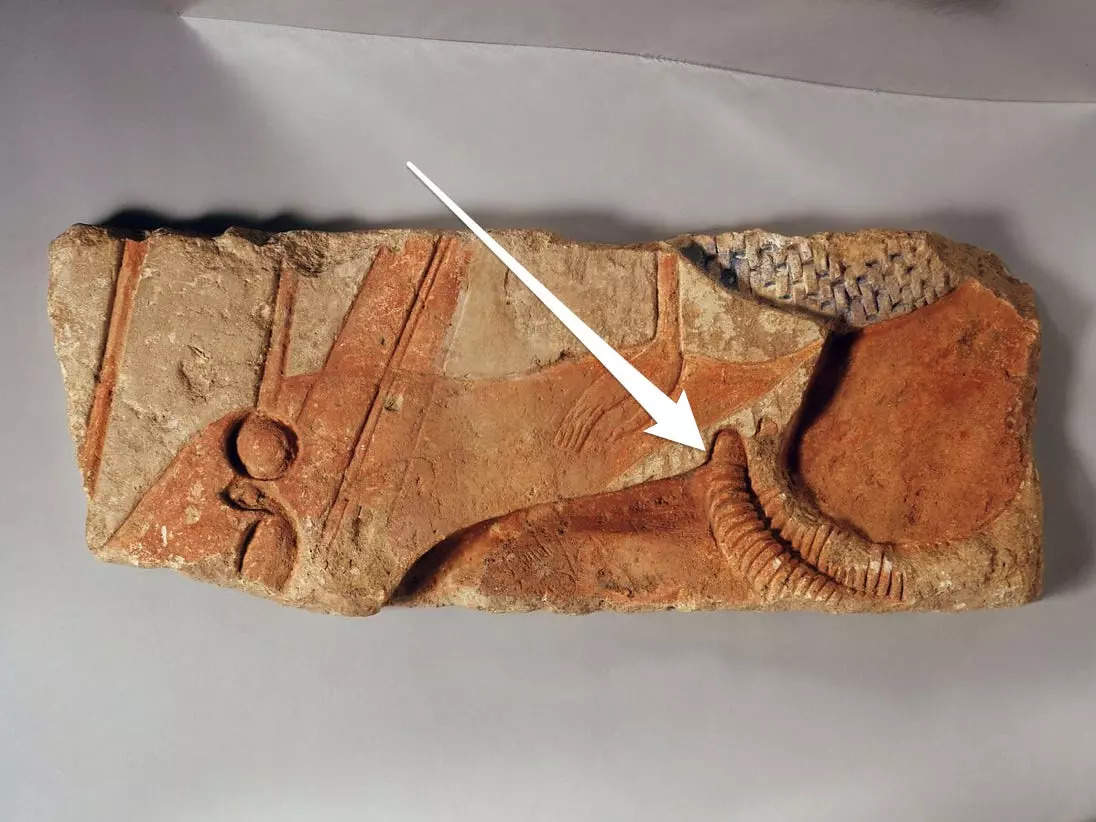 Tombs Filled With Severed Hands Suggest Warriors In Ancient Egypt ...